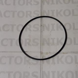 O-RING CASE 3057615R1