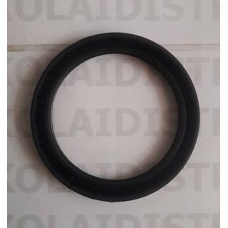 OIL SEAL CASE 5196487