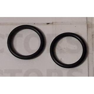 O-RING CASE 86511345